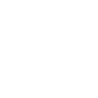 hyundai ci