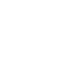 samsung ci